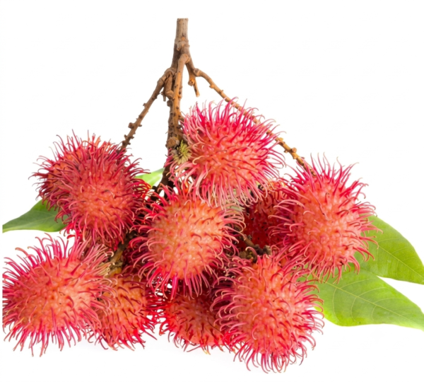 Rambutan