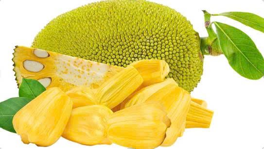 Jackfruit