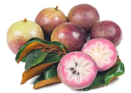 Star Apple