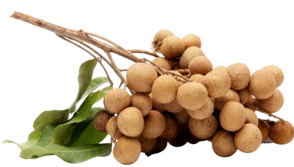 Longan
