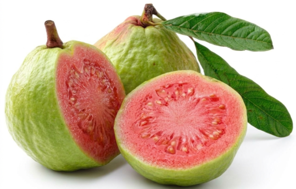 Guava